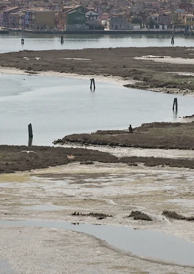 Urban Shores