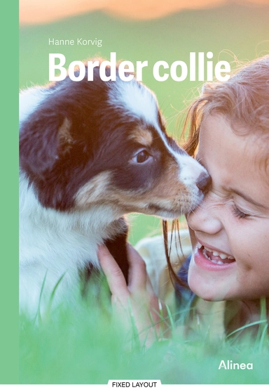 Border collie, Grøn Fagklub