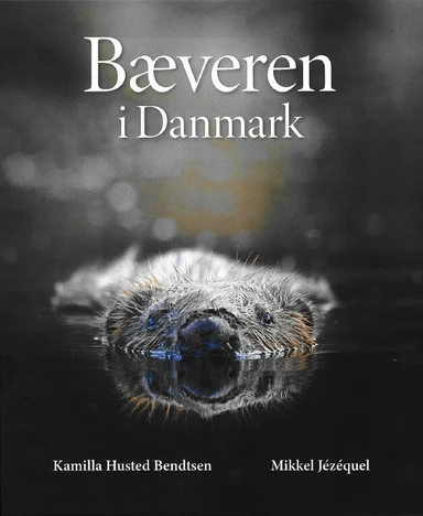 Bæveren i Danmark