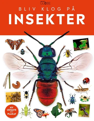 D1 Insekter