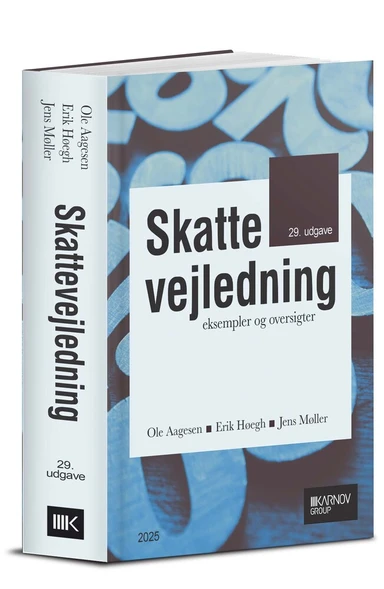 Skattevejledning 2025