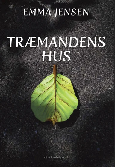 Træmandens hus