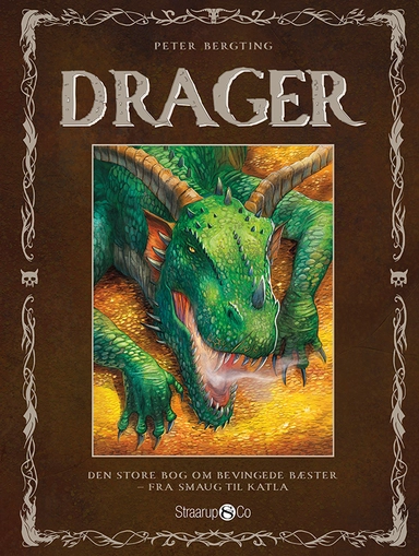 Drager - fra Smaug til Katla