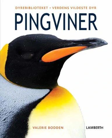 Pingviner 