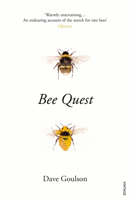 Bee Quest