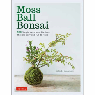 Moss Ball Bonsai Beautiful Kokedama That Are Fun to Creat