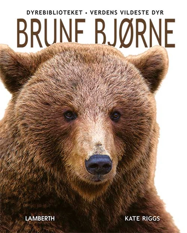 Brune bjørne