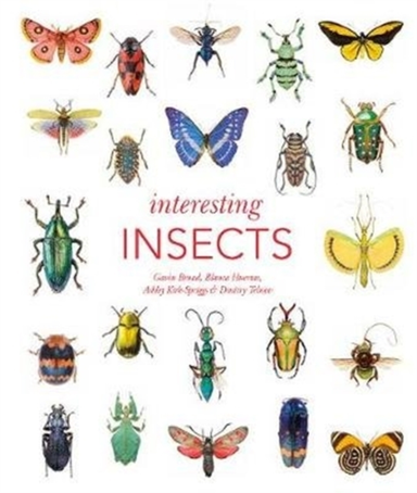 Interesting Insects