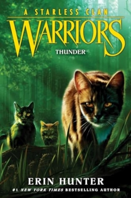 Warriors a Starless Clan #4 Thunder