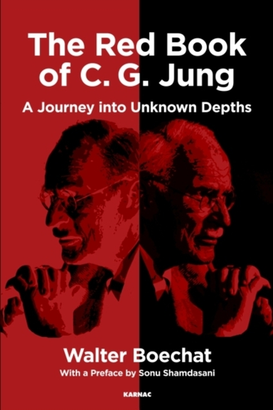 The Red Book of C.g. Jung