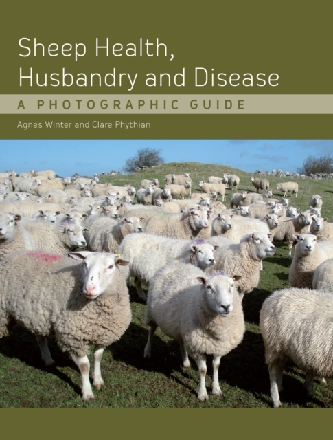 Sheep Health Husbandry and Disease