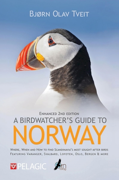 A Birdwatchers Guide to Norwaywhere When and How to Find S