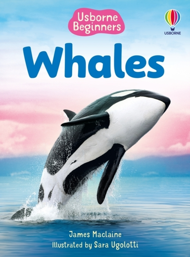 Beginners Whales