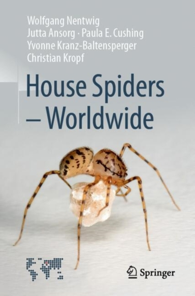 House Spiders - Worldwide