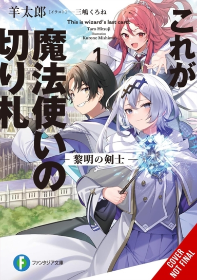 This Is the Wizards Secret Weapon Vol. 1 (light Novel)