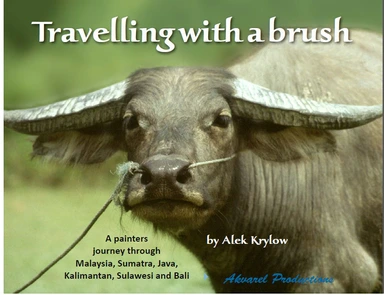 Travelling with a brush