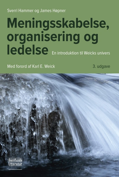 Meningsskabelse, organisering og ledelse