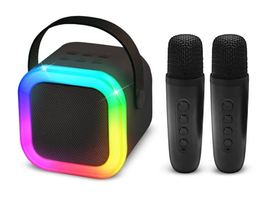 MINI KARAOKEHØJTALE 