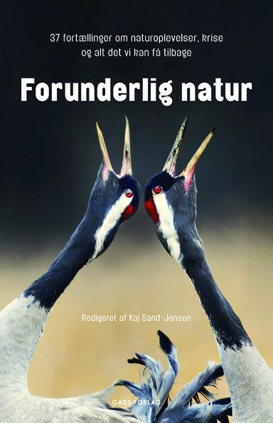 Forunderlig natur