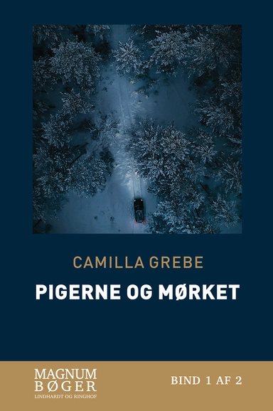 Pigerne og mørket (Storskrift)