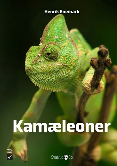 Kamæleoner
