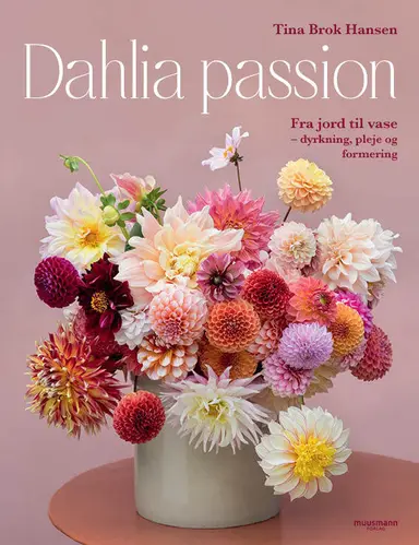 D1 Dahlia passion