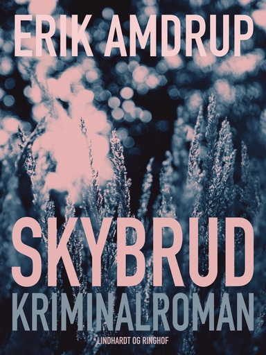 Skybrud