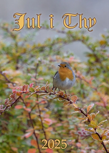 Jul i Thy 2025