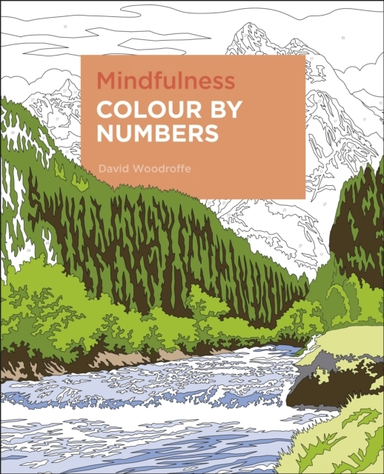MINDFULNESS COLOUR BY NUMBERS.