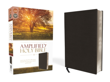 Amplified Holy Bible