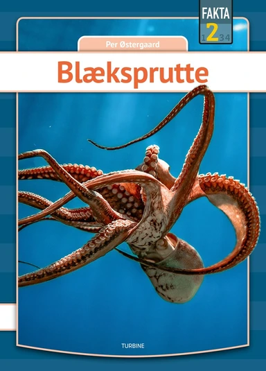 Blæksprutte