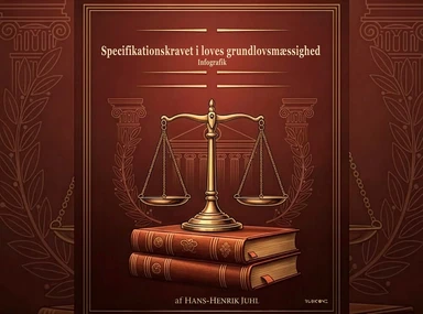 Specifikationskravet i loves grundlovsmæssighed - Infografik