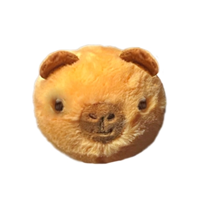 TY Barry capybara bouncer