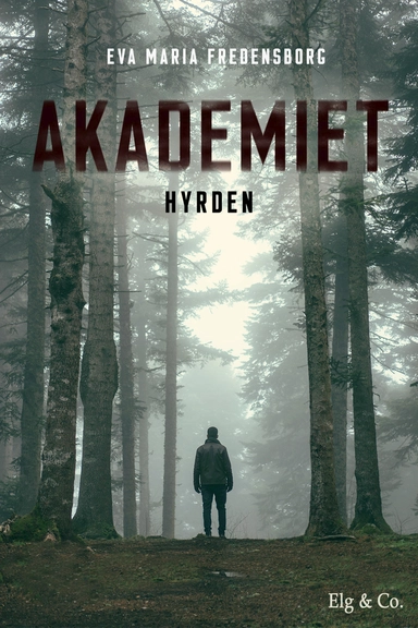 Akademiet 3 - Hyrden