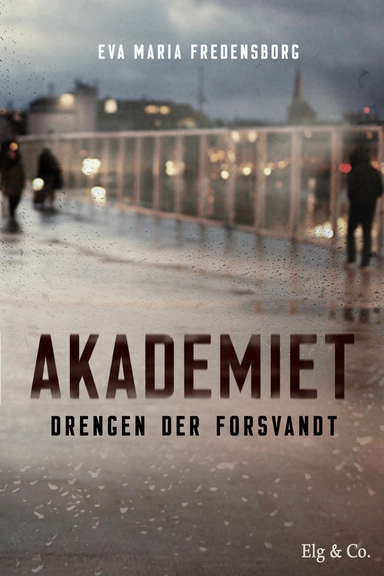 Akademiet 2 – Drengen der forsvandt