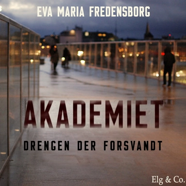 Akademiet 2 – Drengen der forsvandt