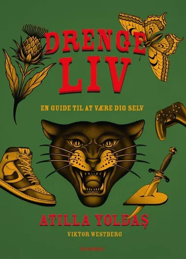 Drengeliv - en guide til at være dig selv