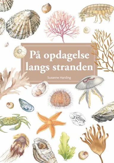 På opdagelse langs stranden, display med 10 stk.