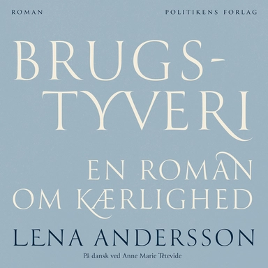 Brugstyveri - en roman om kærlighed