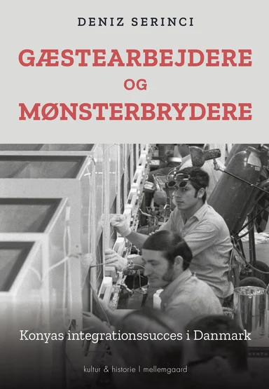 Gæstearbejdere og mønsterbrydere