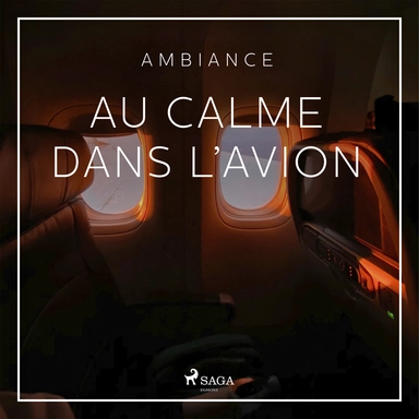 Au calme dans l’avion