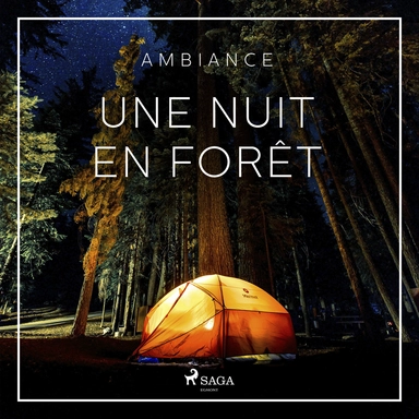 Une nuit en forêt