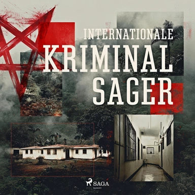 Internationale kriminalsager