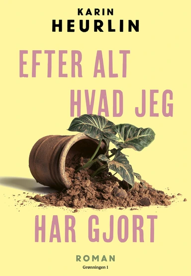 Efter alt hvad jeg har gjort