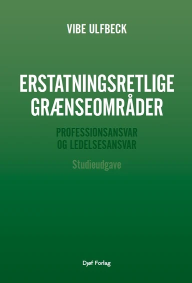 Erstatningsretlige grænseområder