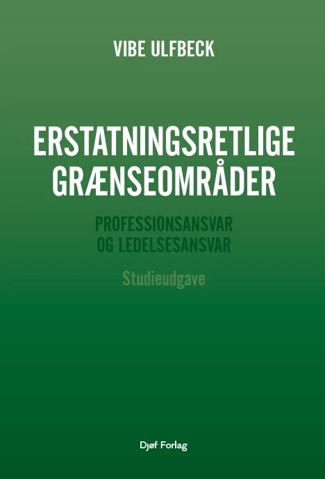 Erstatningsretlige grænseområder - studieudgave