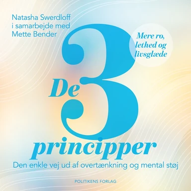 De 3 principper