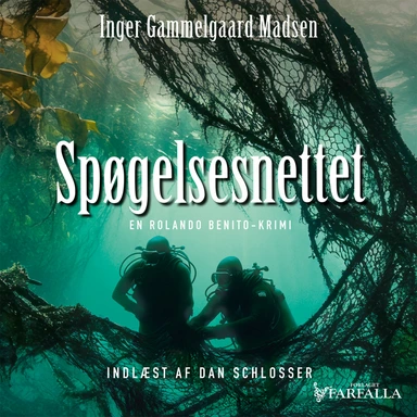 Spøgelsesnettet