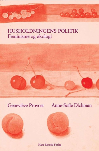 Husholdningens politik