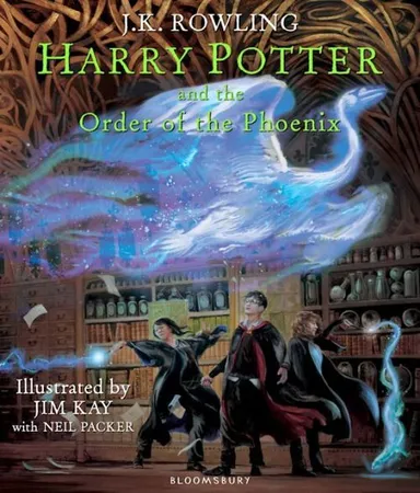 D2 Harry Potter and the Order of the Phoenix